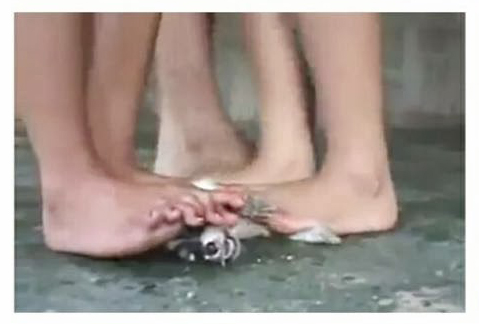 Video Crush Feet Woman Gratis 2