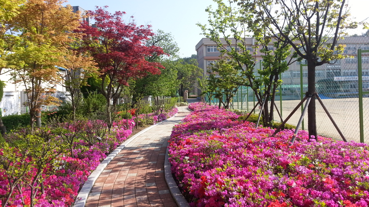  The Most Magical Spring Vacation In Busan