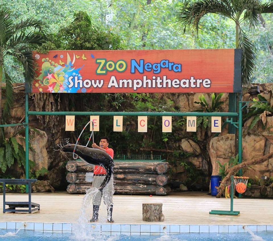 Attention, December Babies! Zoo Negara Wants To Give You A Free Ticket