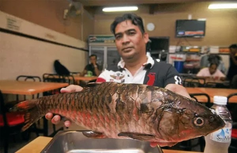 Jangan Terkejut Jika Anda Menerima Resit Rm1 415 Untuk Makan Tengahari