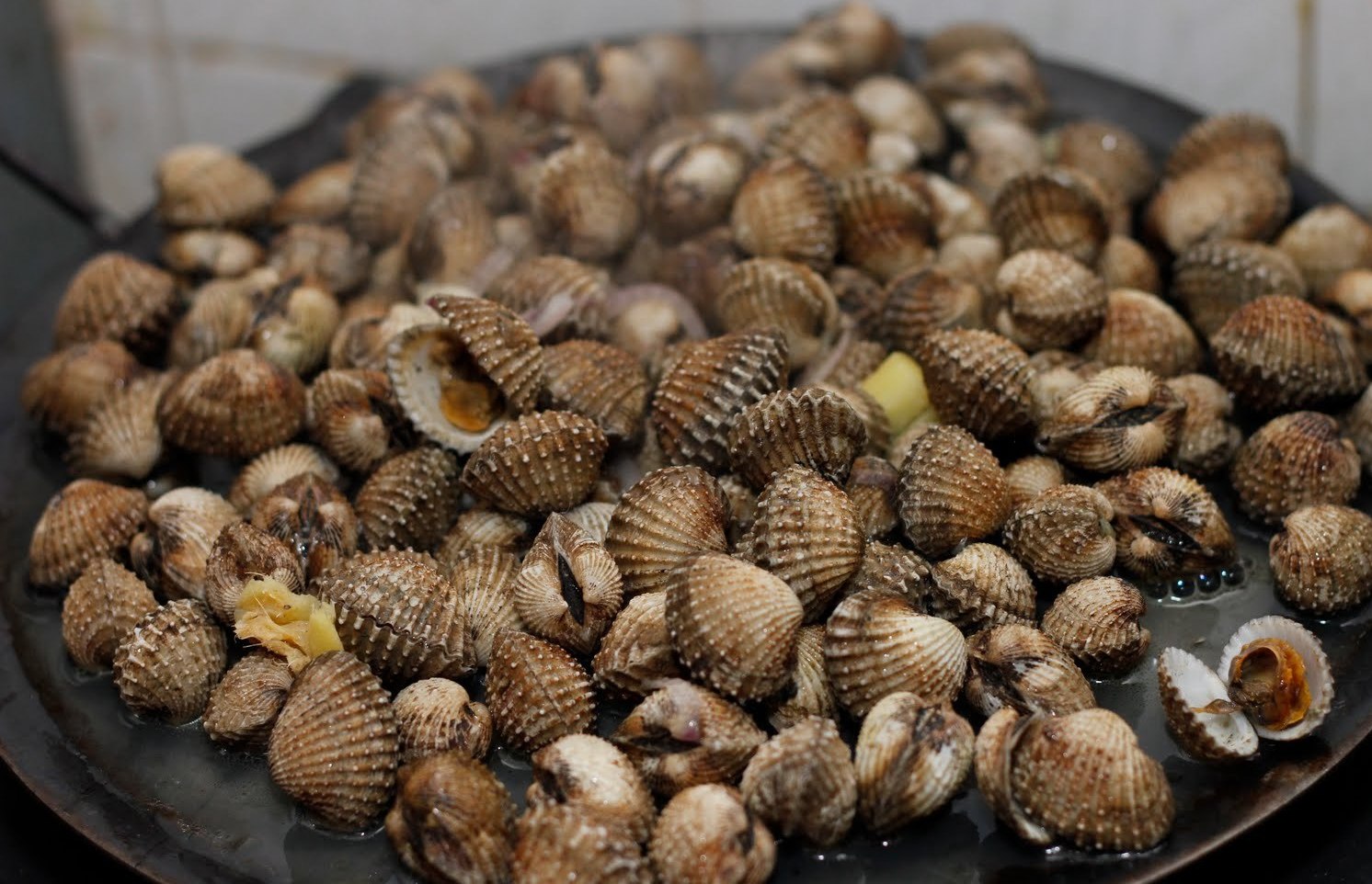 share-don-t-eat-shellfish-from-kuantan-port-waters-it-could-be-poisonous