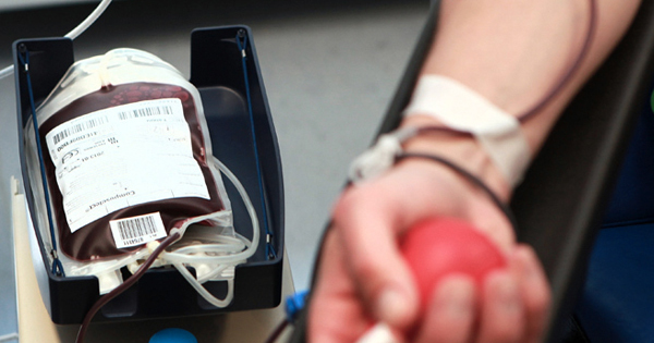 Bagaimana Cara Donor Darah Di Malaysia?  Berikut Daftar Lengkap Hal yang Perlu Anda Ketahui