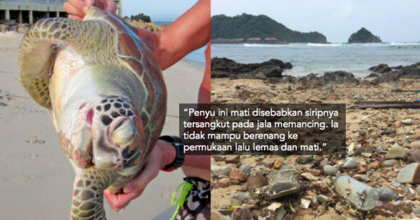 Hati Saya Hancur. Pulau Yang Dulunya Bersih Kini Penuh Sampah 