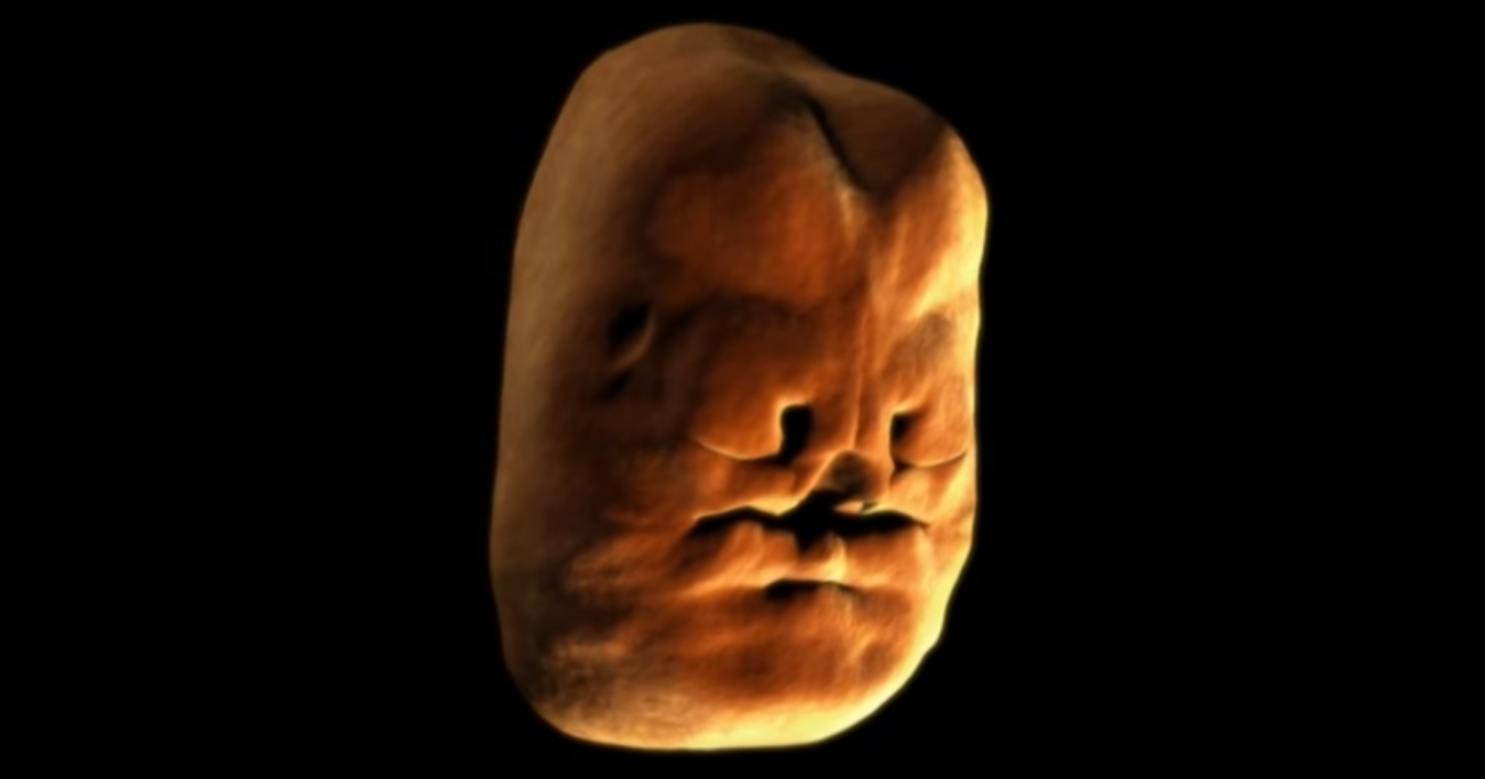 This Fascinating Video Shows How A Face Forms In The Womb