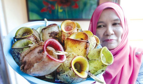 Bermula Sebagai Hobi  Rekaan Terbaru Lemang Periuk Kera 4 