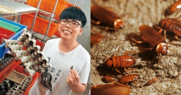 This Uni Student Earns Over RM28,000 A Month By Farming Cockroaches