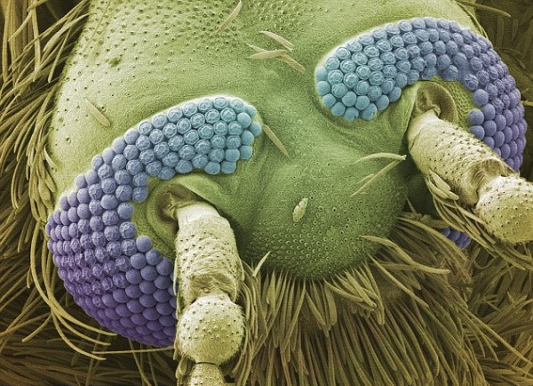 these-everyday-things-zoomed-in-at-microscopic-level-look-really