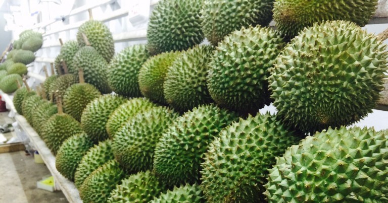 1KG Of Musang King Costs RM500 In China And Malaysia Is ...