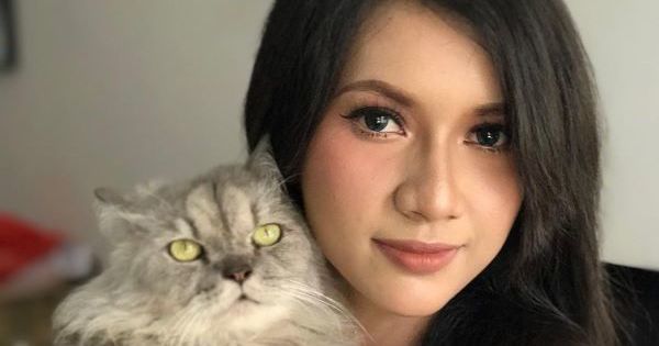 6 Kucing Selebriti Malaysia Yang Boleh Buat Pencinta Kucing Cair. Awhh