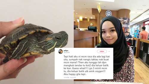 Bela Kura Kura Tapi Asyik Mati Gadis Ini Kongsi Tips Jaga Kura Kura 10 Tahun Masih Hidup