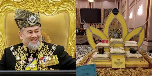 Gambar YDP Agong, Sultan Muhammad V Kahwini Wanita Rusia Tersebar 