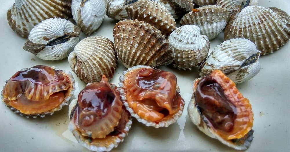 Malaysians Warned To Eat Less Shellfish Due To Risk Of Heavy Metal ...