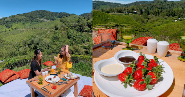 You Can Enjoy A Breezy Picnic In Malaysia And It Looks Straight Out Of