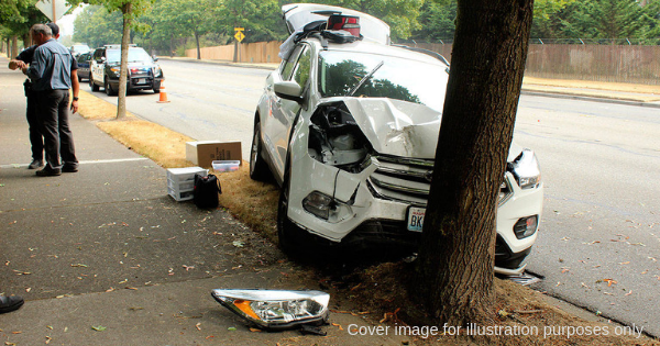 Two Robbers Attempted To Run Over A Police Car But Crashed Into A Tree