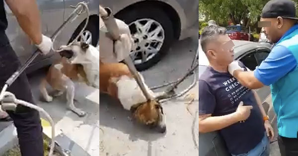 [VIDEO] Woman Cries Foul Over MPSJ Catching Stray Dog That She Feeds