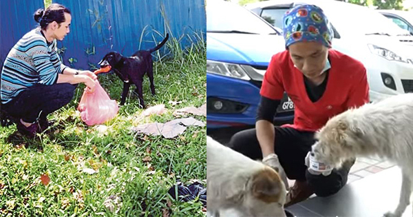 Ce vétérinaire malais de Klang traite les chiens errants malgré le désaccord de sa communauté