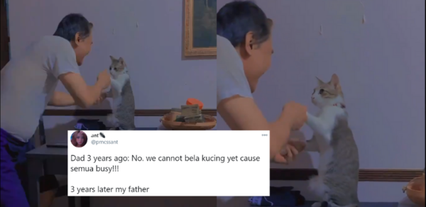 VIDEO] Dulu Ayah Tak Bagi Bela Kucing, Tapi Sekarang Dia Pula Yang 