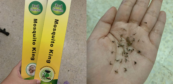 Une Malaisienne partage un encens efficace contre les moustiques qu’elle a trouvé sur Shopee pour RM1