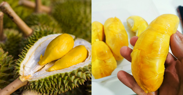 Musim Durian Tiba Lagi, Jom 'Hunting' 7 Kedai Online Durian Segar Di Shopee Ini. Sedapnya!