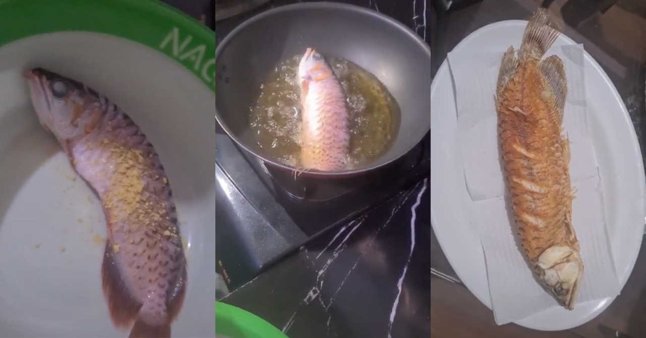 fried arowana