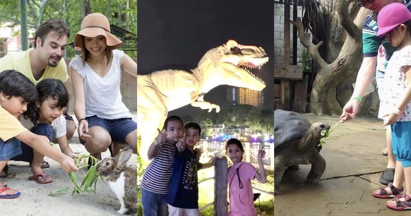 Tidak tahu kemana lagi untuk membawa anak-anak Anda selain Kebun Binatang Nasional?  Coba Kunjungi 6 Tempat Menarik Ini