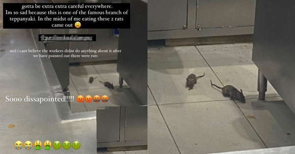 Wanita Klaim Pekerja Tertawa Setelah Dia Melihat 2 Tikus Di Food Court KL Luxury Mall