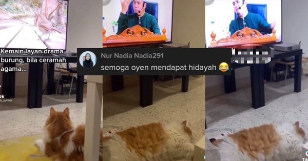 "Insaflah Oyen, le Ramadan est proche" – Le comportement d’un chat endormi qui regarde cette conversation Invite Dekah