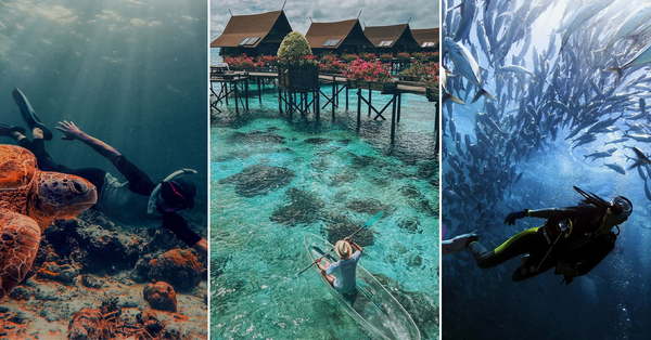 17 Diving Spots In Malaysia Because Under The Sea Is Much Better ...