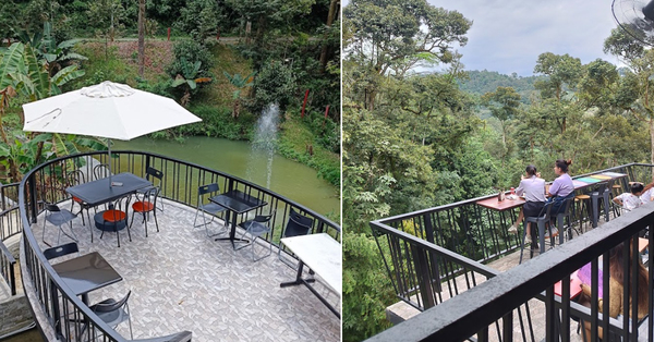 There's A Beautiful Open-Air Restaurant Near TTDI With 'Healing' Forest ...