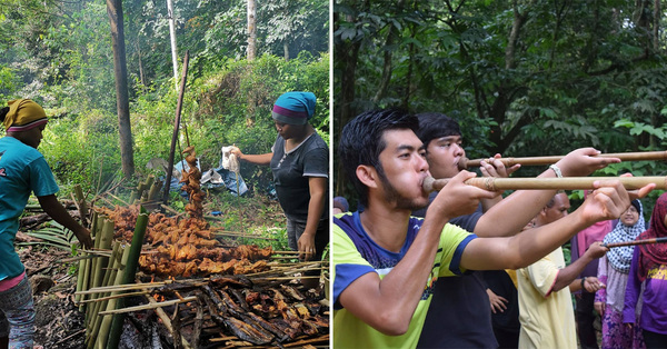 This Enjoyable Jungle Faculty In KL Takes You Trekking, Teaches Orang Asli Survival Expertise & Extra