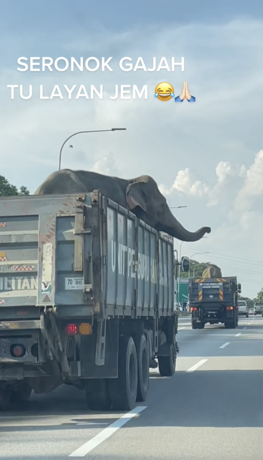 [VIDEO] Voici comment les éléphants sont transportés en Malaisie
