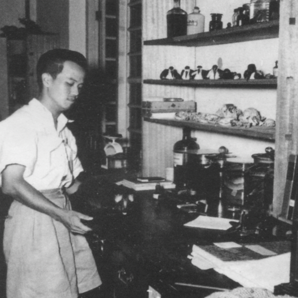 Early days in the laboratory at IMR, 1948.