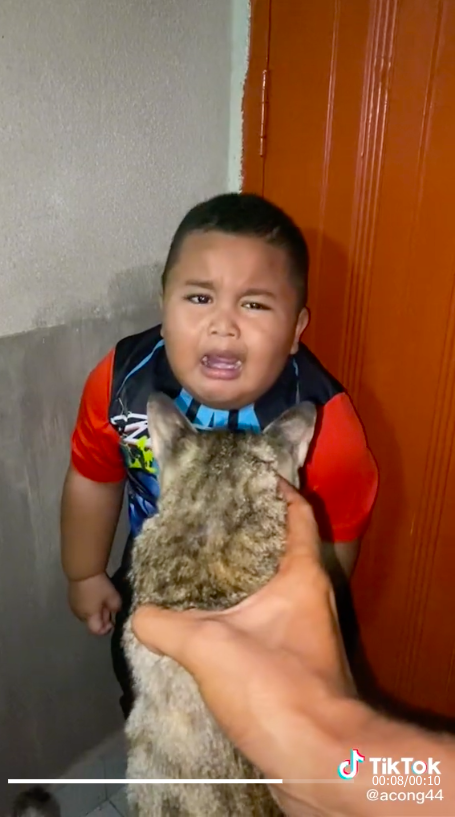 "Peut Traumatisme" – Taquinant délibérément avec des chats, ce garçon effrayé a déclenché la réaction des internautes