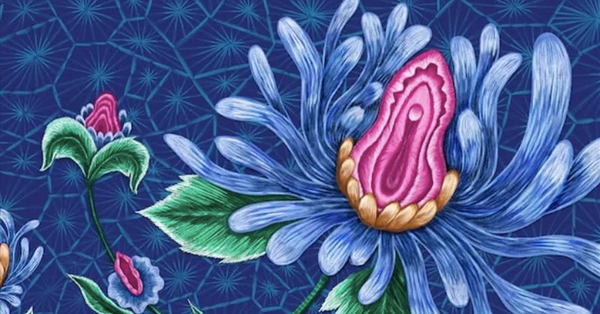 A screenshot of the sanitary pad advertisement with the flower pattern used as the representation of a vulva.