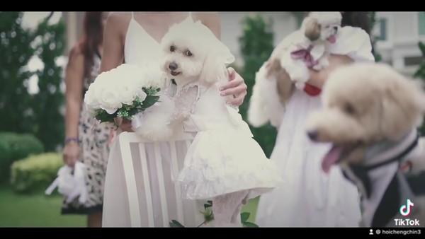 Mocha looking stunning in her bridal dress.