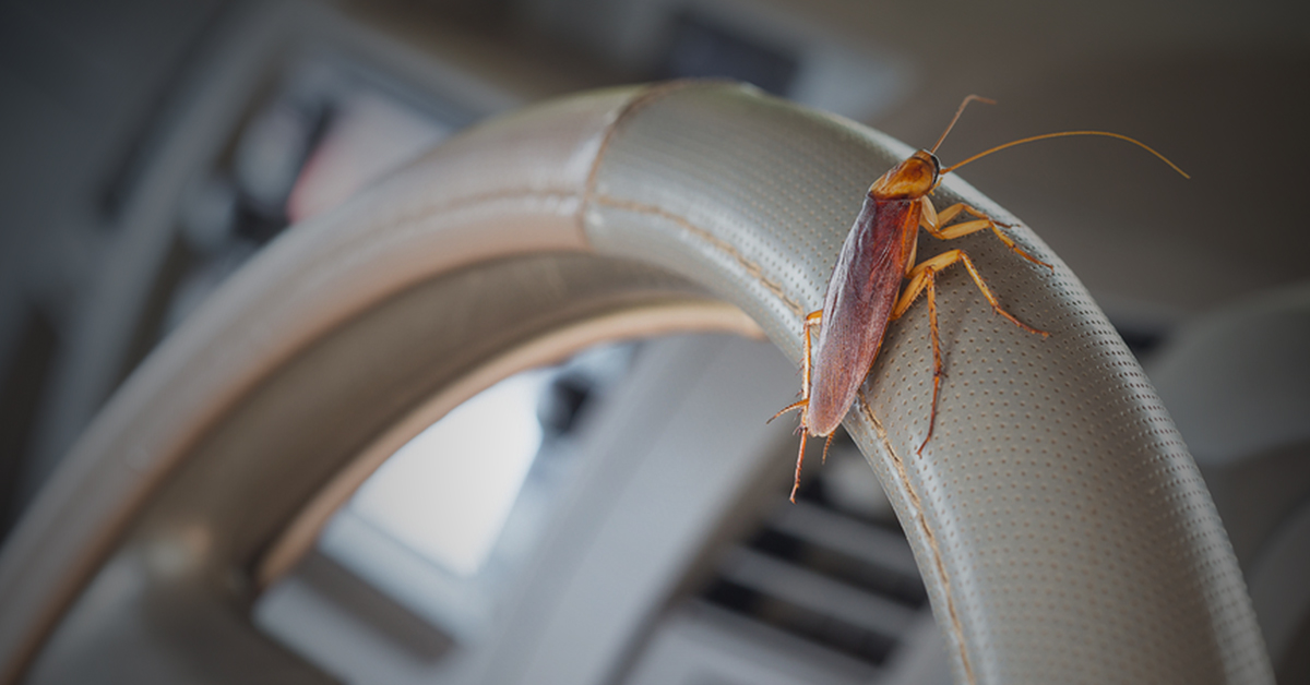 Gambar sekadar hiasan.