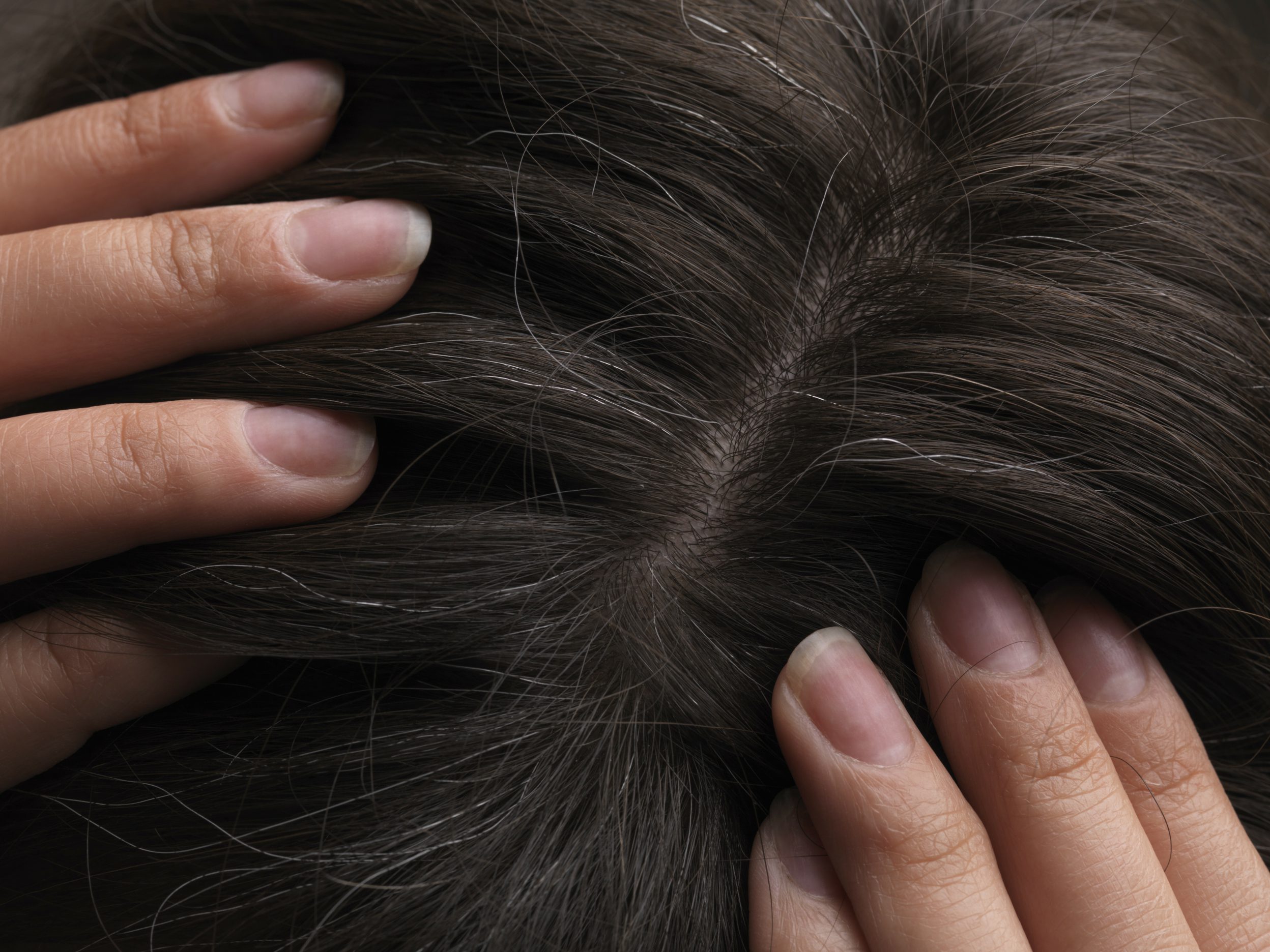 Does Plucking White Hair Cause More To Grow In Its Place? Here's What We  Found