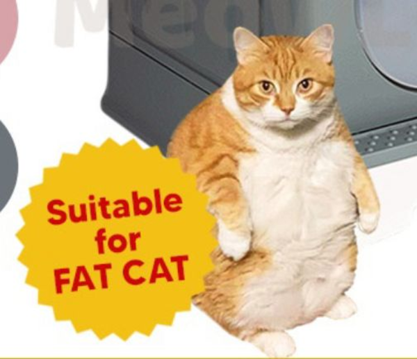 fat-cat-scale.png