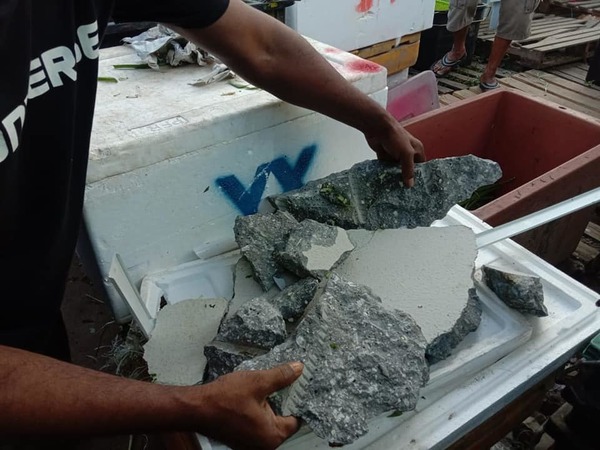 The pieces of concrete that fell onto the marketplace.