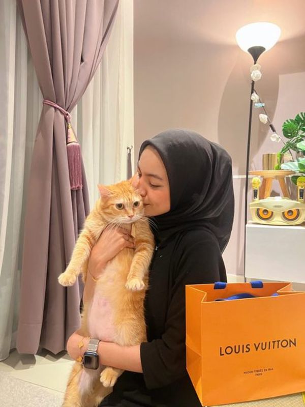 Bought my cat a Louis Vuitton pet collar. #pet #cat #louisvuitton