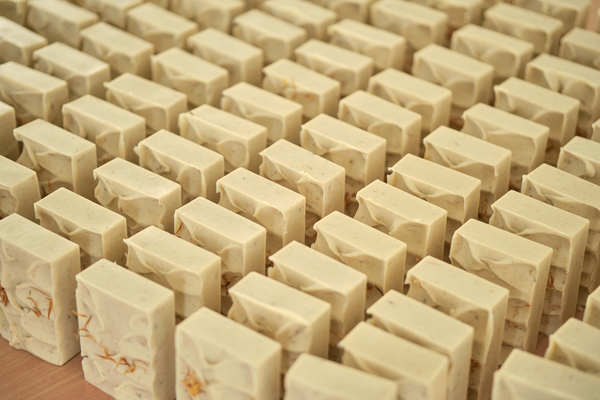 Their Calendula soaps before they are cut to smaller pieces.