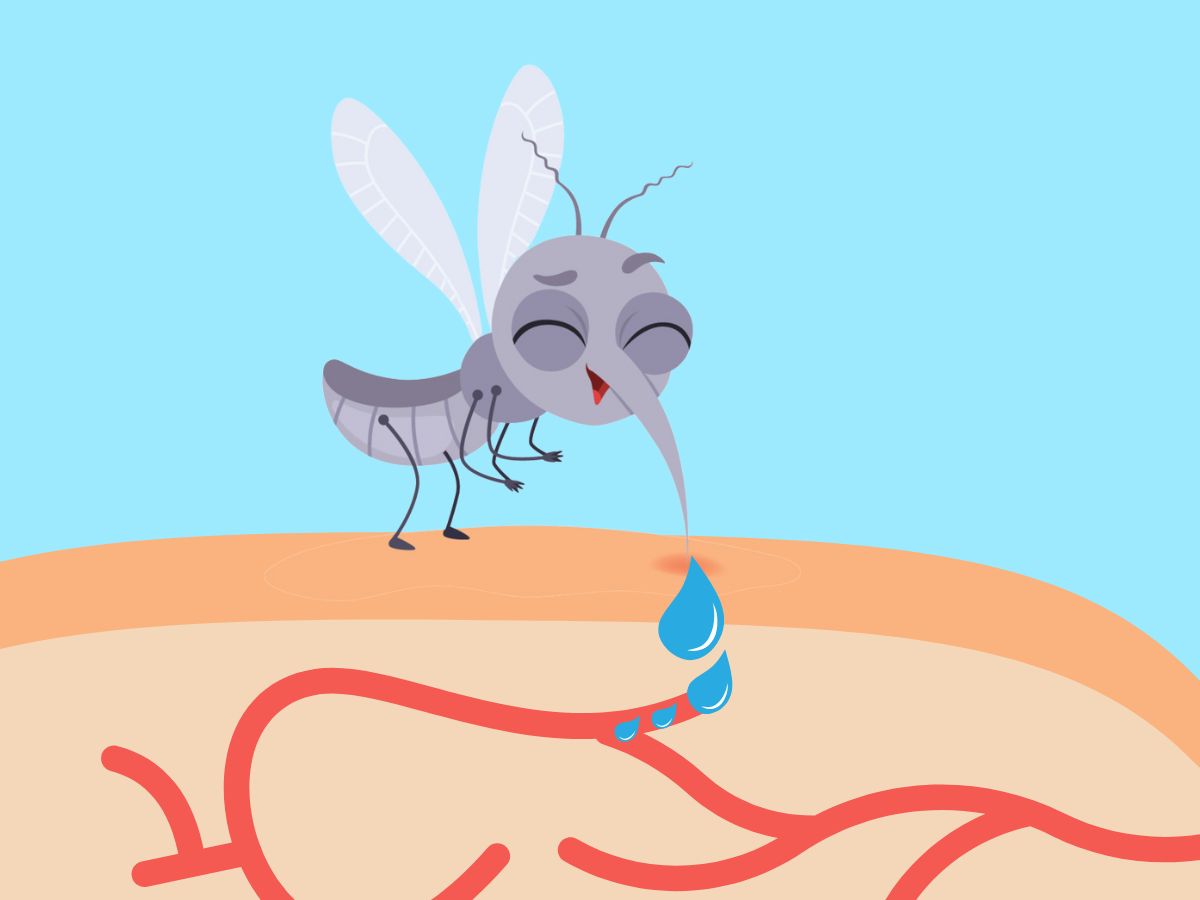 Why Do Mosquito Bites Itch? Here Is The Science Behind It
