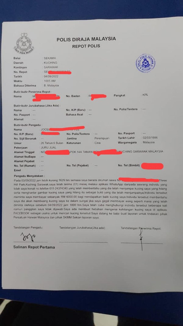 The full police report of the kidnapping.