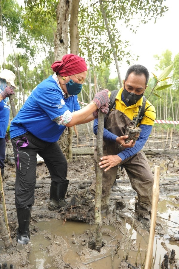 A photo of her participating in a mangrove forest recovery programme to replant mangrove saplings.