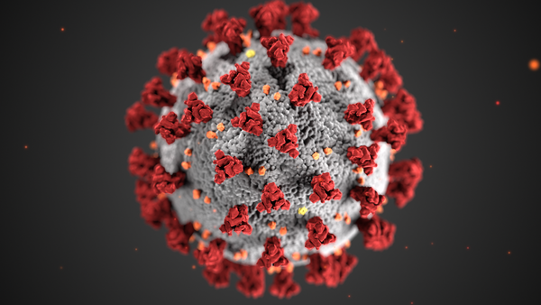 Illustration of the COVID-19 virus.