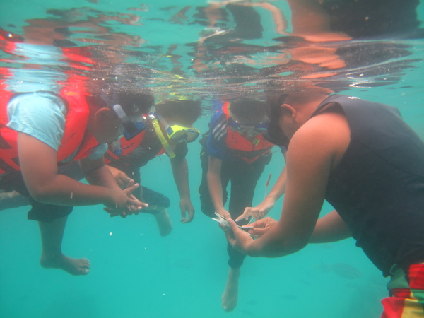 A fish ID class with school children on the island.