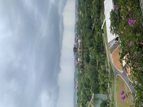 Pemandangan Gardens by the Bay dari balkoni bilik hotel.