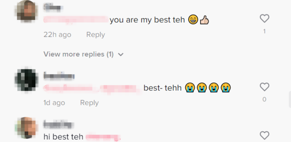 Several TikTok users mentioned their friends in the comment section with a similar pun as they were entertained by it.