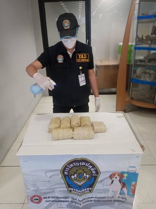 A DLD officer disinfecting confiscated packages.