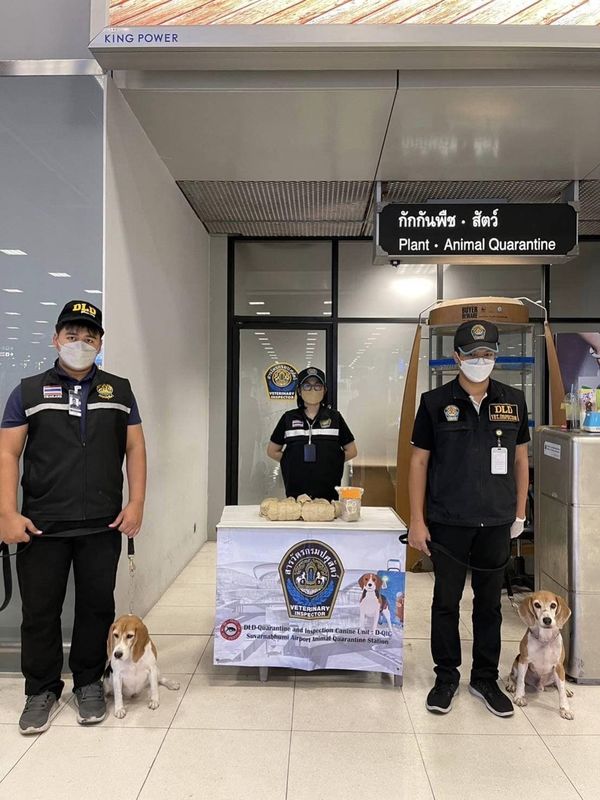 Inspection beagles posing with their handlers beside the confiscated meat products.